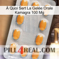 À Quoi Sert La Gelée Orale Kamagra 100 Mg cialis3